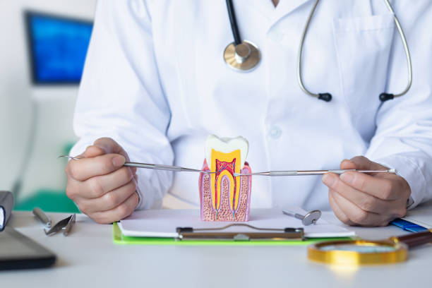 Best Pediatric Emergency Dentist in Bunk Foss, WA